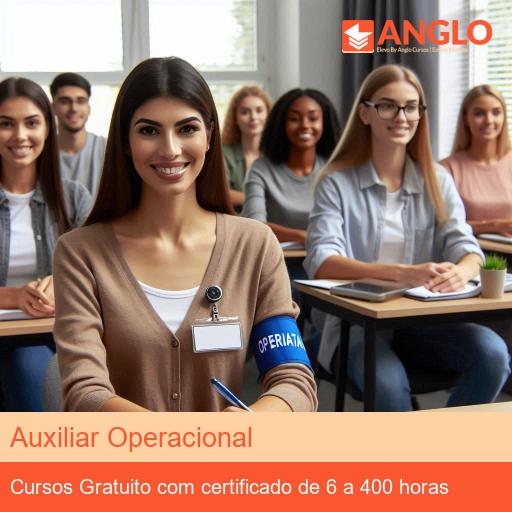 Auxiliar Operacional
